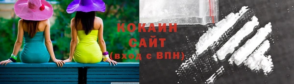 ГАЛЛЮЦИНОГЕННЫЕ ГРИБЫ Алексин