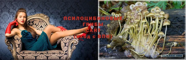 альфа пвп VHQ Алзамай