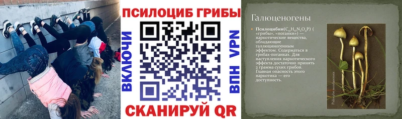 Галлюциногенные грибы ЛСД  Алзамай 